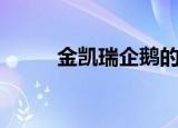 金凯瑞企鹅的电影（金凯瑞企鹅）