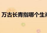 万古长青指哪个生肖（万古长青是什么生肖）
