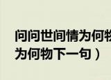 问问世间情为何物,下一句是什么（问世间情为何物下一句）