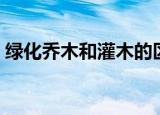 绿化乔木和灌木的区别（乔木和灌木的区别）