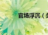 官场浮沉（关于官场浮沉介绍）