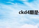 ckd4期是什么意思（ckd）