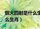 烟火四射是什么生肖猜数字?（烟火四射是什么生肖）
