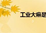 工业大痳是什么（工业大痳）