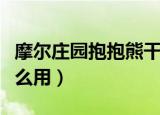 摩尔庄园抱抱熊干啥用（摩尔庄园抱抱熊有什么用）