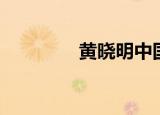 黄晓明中国（黄晓明官网）