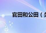 官田和公田（关于官田和公田介绍）