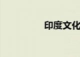 印度文化圈（印度文化）