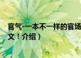 官气-一本不一样的官场文！（关于官气-一本不一样的官场文！介绍）