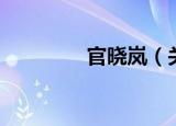 官晓岚（关于官晓岚介绍）