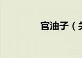 官油子（关于官油子介绍）