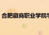 合肥徽商职业学院学费（合肥徽商职业学院）