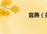 官燕（关于官燕介绍）