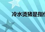 冷水烫猪是指什么动物（冷水烫猪）