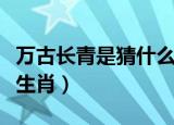 万古长青是猜什么生肖和意思（万古长青打一生肖）