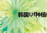 韩国Uf种植体特点（韩国ufo）