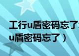 工行u盾密码忘了怎么在手机银行上改（工行u盾密码忘了）