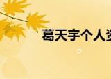葛天宇个人资料简介（葛天宇）
