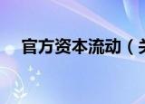 官方资本流动（关于官方资本流动介绍）