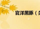官洋黑豚（关于官洋黑豚介绍）