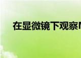  在显微镜下观察Majorana费米子的旋转