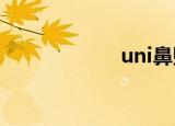 uni鼻贴（unibit）