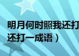 明月何时照我还打一成语谜底（明月何时照我还打一成语）