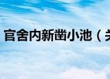 官舍内新凿小池（关于官舍内新凿小池介绍）