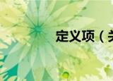 定义项（关于定义项介绍）