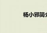 杨小邪简介（杨小邪系列）