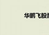 华鹏飞股票股吧（华鹏飞）