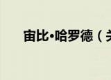 宙比·哈罗德（关于宙比·哈罗德介绍）