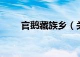 官鹅藏族乡（关于官鹅藏族乡介绍）