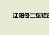 辽阳佟二堡貂皮价格（辽阳佟二堡）