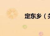 定东乡（关于定东乡介绍）