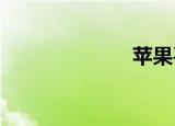 苹果平板电脑源