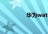 华为watch3（华为w3）