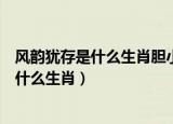 风韵犹存是什么生肖胆小怕事最佳生肖是什么（风韵犹存是什么生肖）