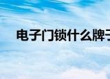 电子门锁什么牌子好（门锁什么牌子好）
