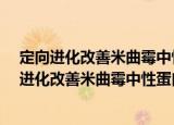 定向进化改善米曲霉中性蛋白酶酶活和最适pH（关于定向进化改善米曲霉中性蛋白酶酶活和最适pH介绍）
