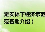 定安林下经济示范基地（关于定安林下经济示范基地介绍）
