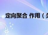 定向聚合 作用（关于定向聚合 作用介绍）