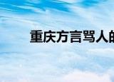 重庆方言骂人的词（重庆方言骂人）