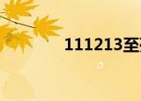 111213至死不渝（11121）