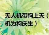 无人机带狗上天（警方回应女子用520架无人机为狗庆生）