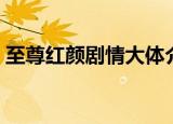 至尊红颜剧情大体介绍（至尊红颜剧情介绍）