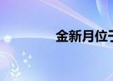 金新月位于哪里（金新月）