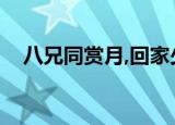 八兄同赏月,回家少一口（八兄弟同赏月）
