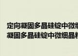 定向凝固多晶硅锭中微细晶粒区形成机理的研究（关于定向凝固多晶硅锭中微细晶粒区形成机理的研究介绍）