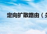 定向扩散路由（关于定向扩散路由介绍）